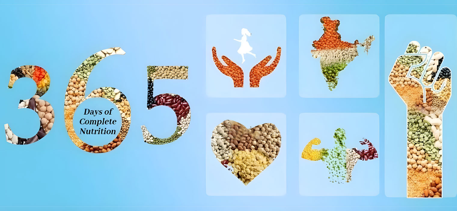 Best Flavored Cashew Nut Brand in India with Premium Quality Kaju