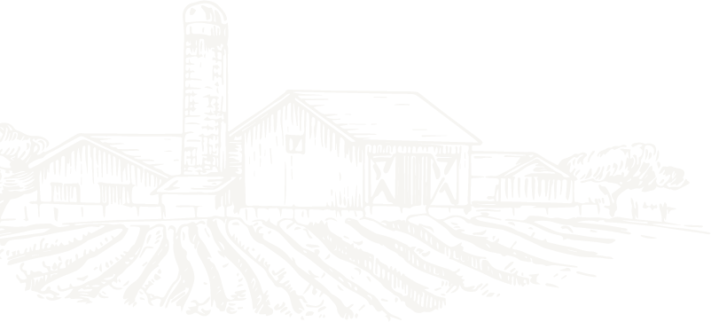  Dryfruit Company