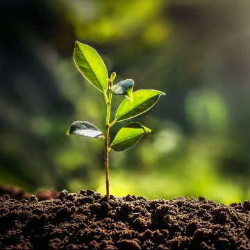 Environmentally