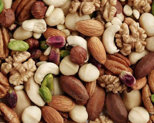 Edible Nuts