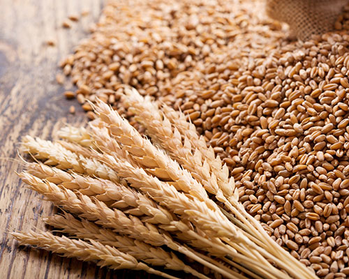 Grains