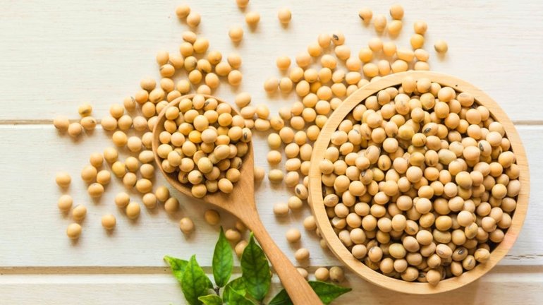 Soyabeans Dealers in India