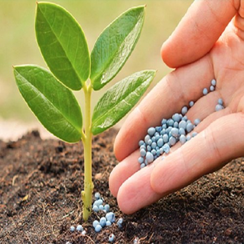 Dry Fruits Company in india