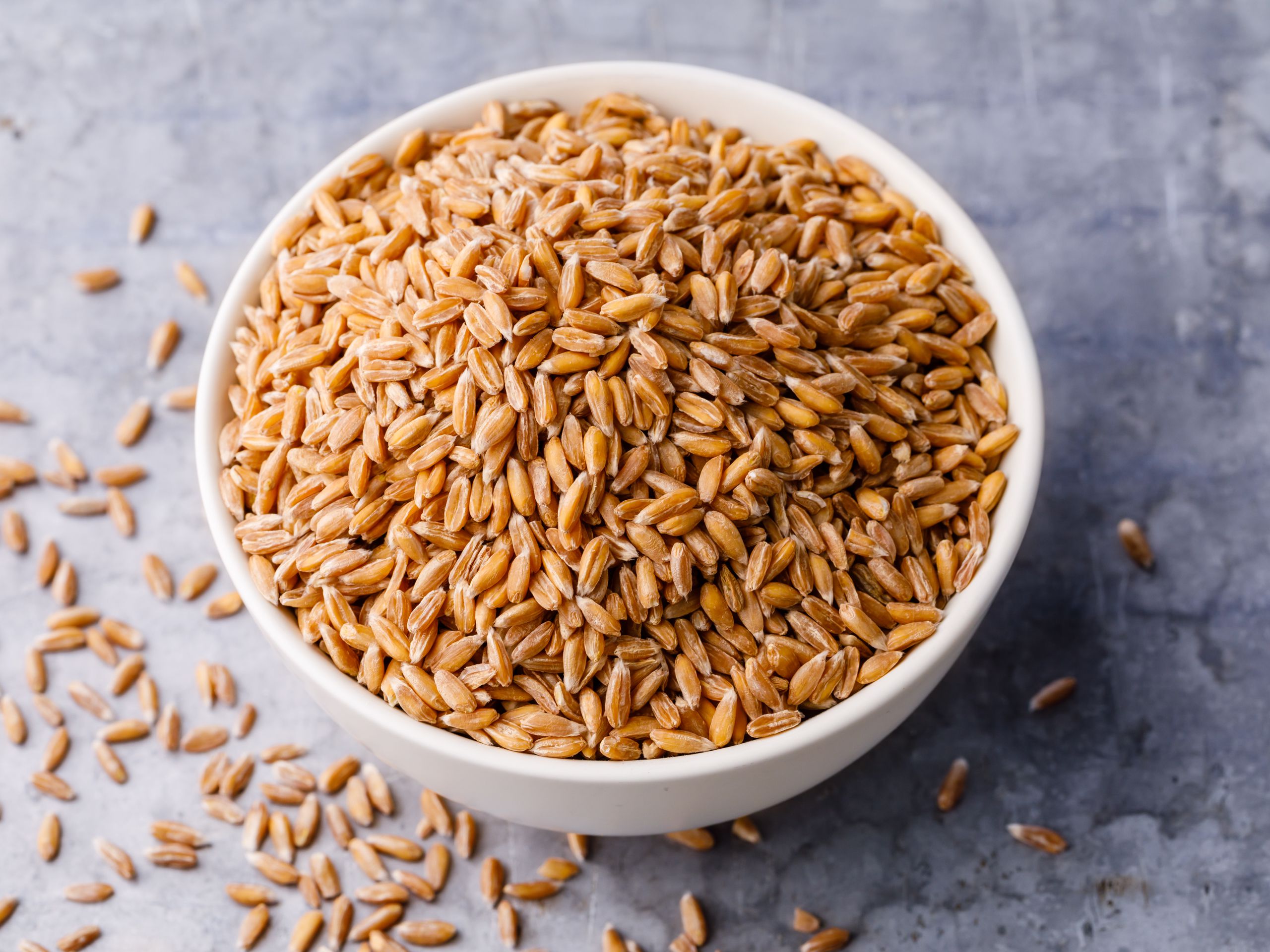 Dry Fruits Company in india